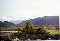 IMG_293.jpg