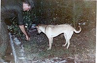 IMG_311.jpg
