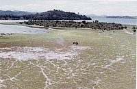 IMG_322.jpg