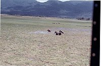 IMG_323.jpg