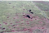 IMG_337.jpg