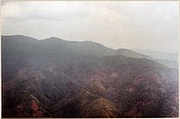 IMG_346.jpg