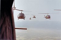 IMG_348.jpg