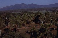vn041_jpg.jpg