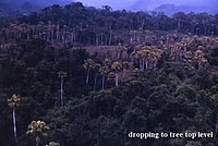 vn088_jpg.jpg