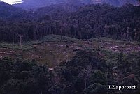 vn089_jpg.jpg