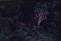 vn092_jpg.jpg