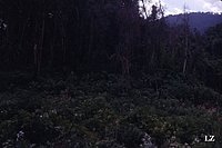 vn094_jpg.jpg