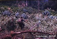 vn095_jpg.jpg