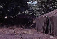 vn157_jpg.jpg