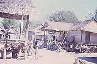 vn191_jpg.jpg