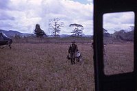vn197_jpg.jpg