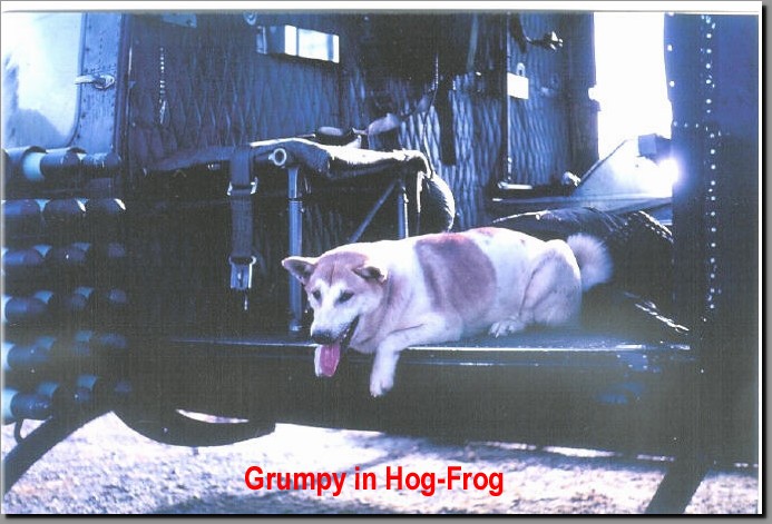 Grumpy_in_Hog-Frog_3.jpg