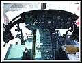 119.jpg