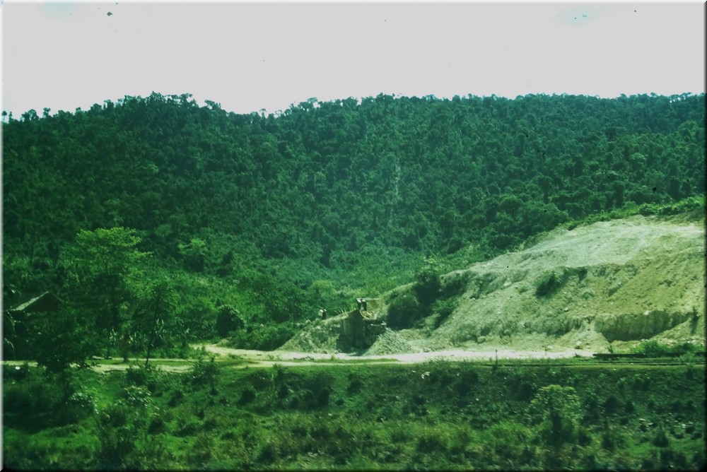 IMAG0055.JPG