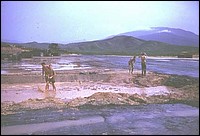 jw-252022_jpg.jpg
