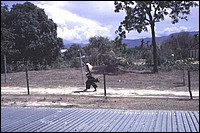 jw-252025_jpg.jpg