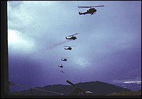 jw-252028_jpg.jpg