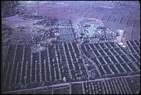 jw-252057_jpg.jpg