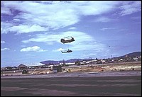 jw-252058_jpg.jpg