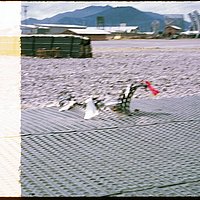 img002_jpg.jpg