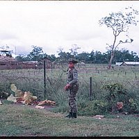 img012_jpg.jpg