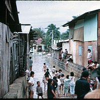 img020_jpg.jpg