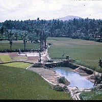 img022_jpg.jpg
