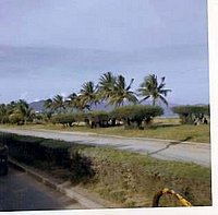 road-2520to-2520nha-2520trang_jpg.jpg