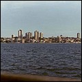 les-2520254_jpg.jpg