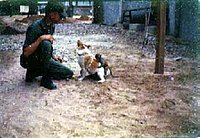 LC - Dog & Monkey.jpg