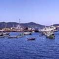 Boats in Nha Trang Harbor.jpg