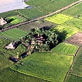 Rice farm, West of Phu Hiep_edited.jpg