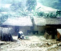 tuy-2520hoa2_jpg.jpg