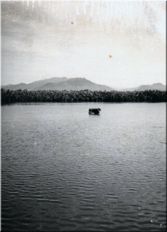 1966_August_My_Crash_0001_a.jpg