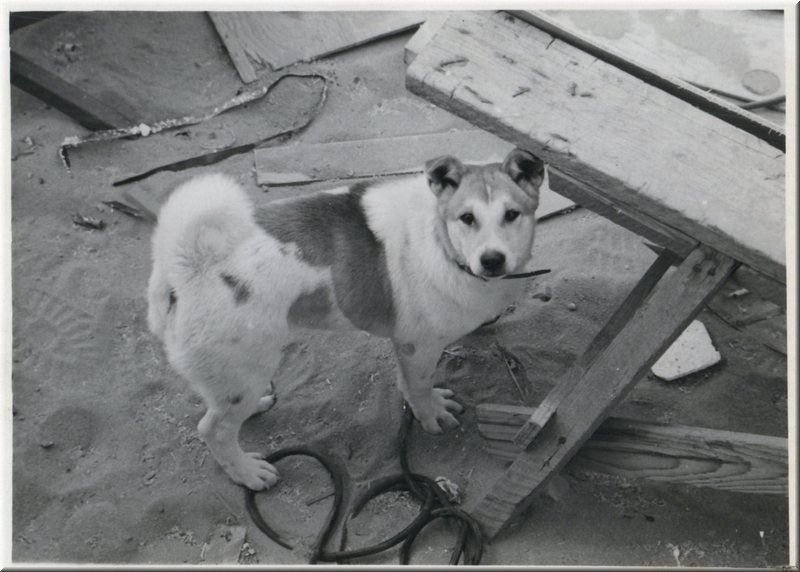 1966_December_Khe_Sanh_0010_a.jpg