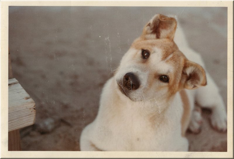 1966_December_Khe_Sanh_0011.jpg
