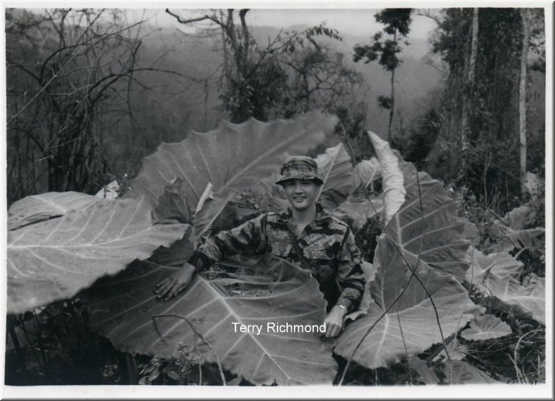 1966_Misc_RVN_0003_a.jpg