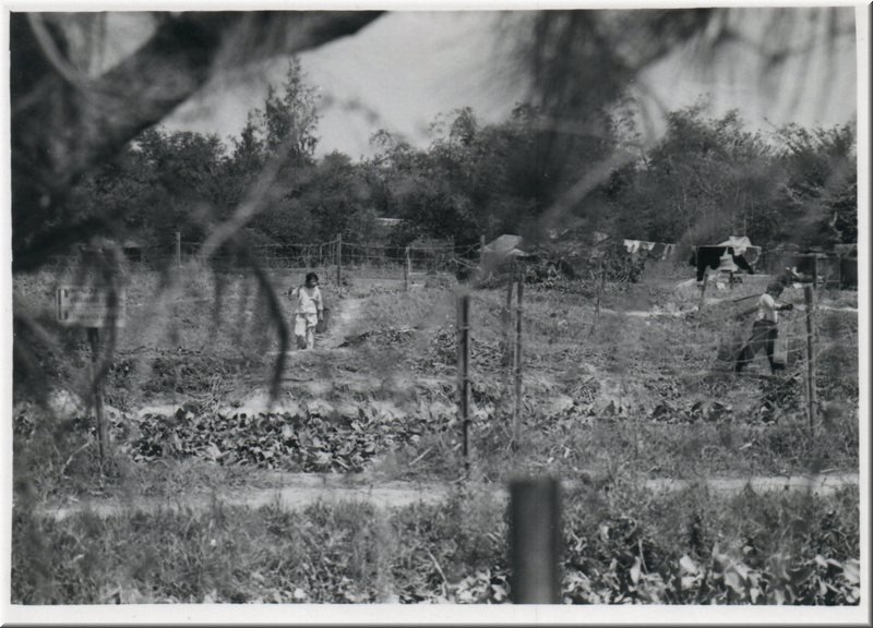 1966_Misc_RVN_0009_a.jpg