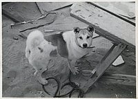 1966_December_Khe_Sanh_0010_a.jpg