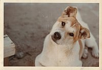 1966_December_Khe_Sanh_0011.jpg