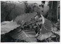 1966_Misc_RVN_0003_a.jpg