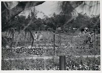 1966_Misc_RVN_0009_a.jpg
