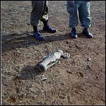 jw08024_jpg.jpg
