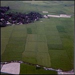 jw08030_jpg.jpg