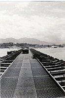 scan0004_jpg.jpg